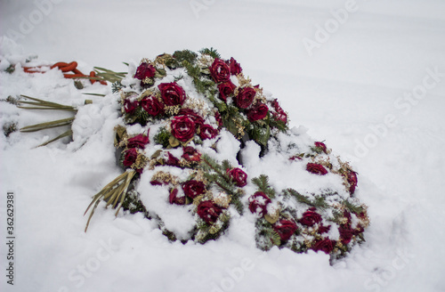 Rosen im Schnee am Grab