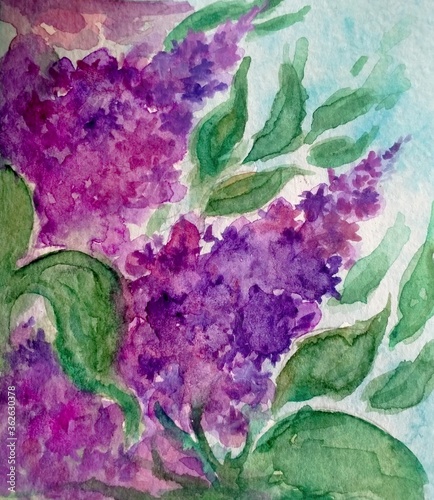 watercolor illustration of lilac