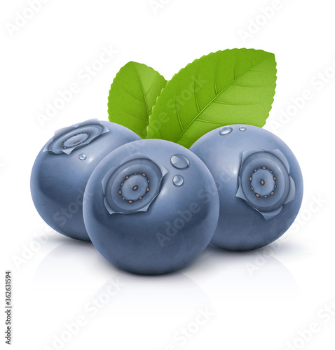 Bilberry