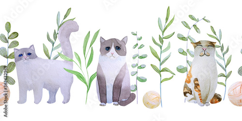 Photography Hand-drawn watercolor seamless border with cats and green sprigs on a white background
