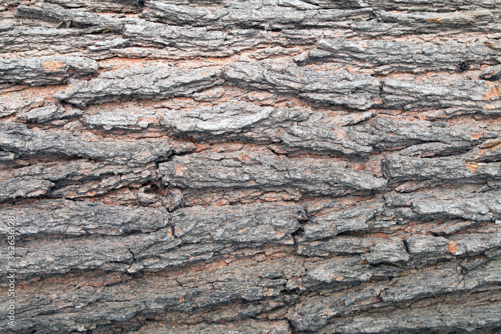 timber timber