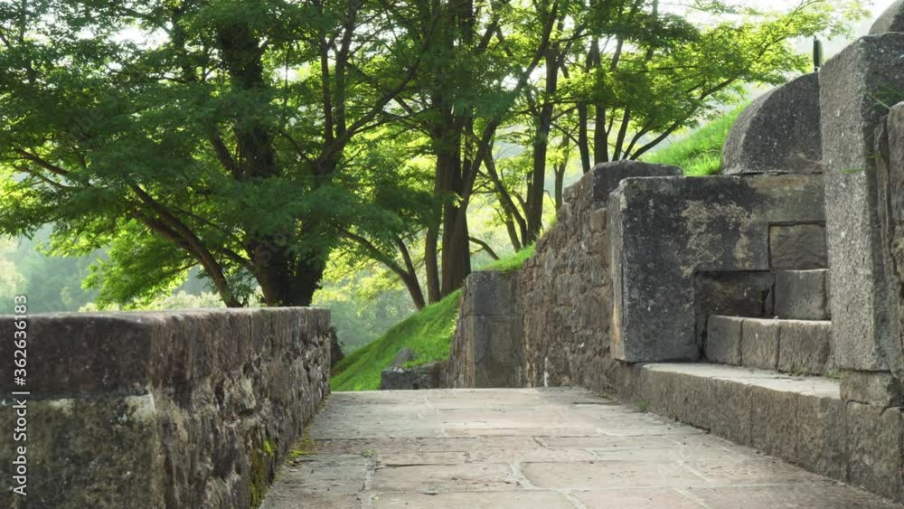 Stone staircase with masonry in the forest on a hill on a sunny summer day among grass and trees. Beautiful natural landscape