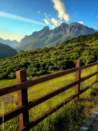 Impressive mountain range and fence with long grass bush