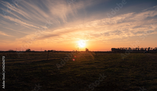 sunset over the field