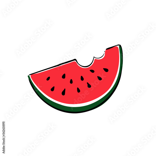 Watermelon slice on white background. Hand drawn illustration. Vector illustration
