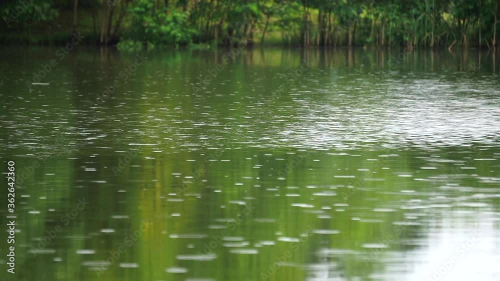 Rain on the lake. Drops of rain fall on the surface of a lake or river on a rainy day. Relax meditative nature video Rain on the lake. Drops of rain fall on the surface of a lake or river on a rainy day. Relax meditative nature video