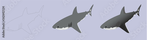 Shark Vector Illustration Set – Cartoon Predatory Fish. Set of icons in isometric.