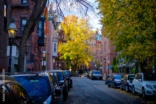 Boston Foliage