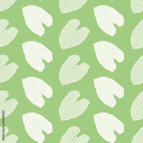 Elephant Ear plant vector background pattern. Tropical Colocasia leaf seamless illustration.