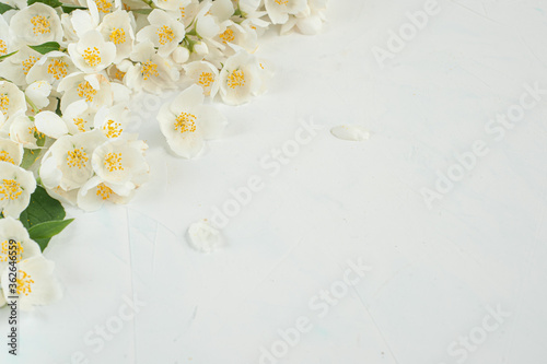 Composition of jasmine flowers on a light concrete background. Selective focus.