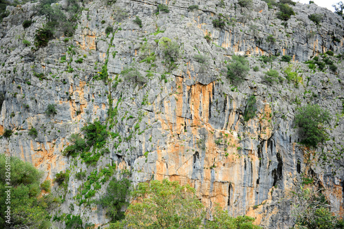 Karst landscape in the Buitreras Canyon famous gorge of the Alcornocales Natural Park, near Cortes de la Frontera. Malaga Province, Andalusia, Spain. photo