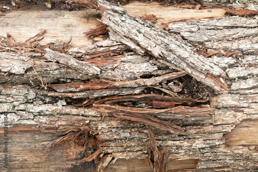 timber timber