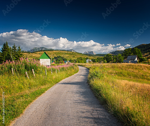 Nice rural house with pink flowers