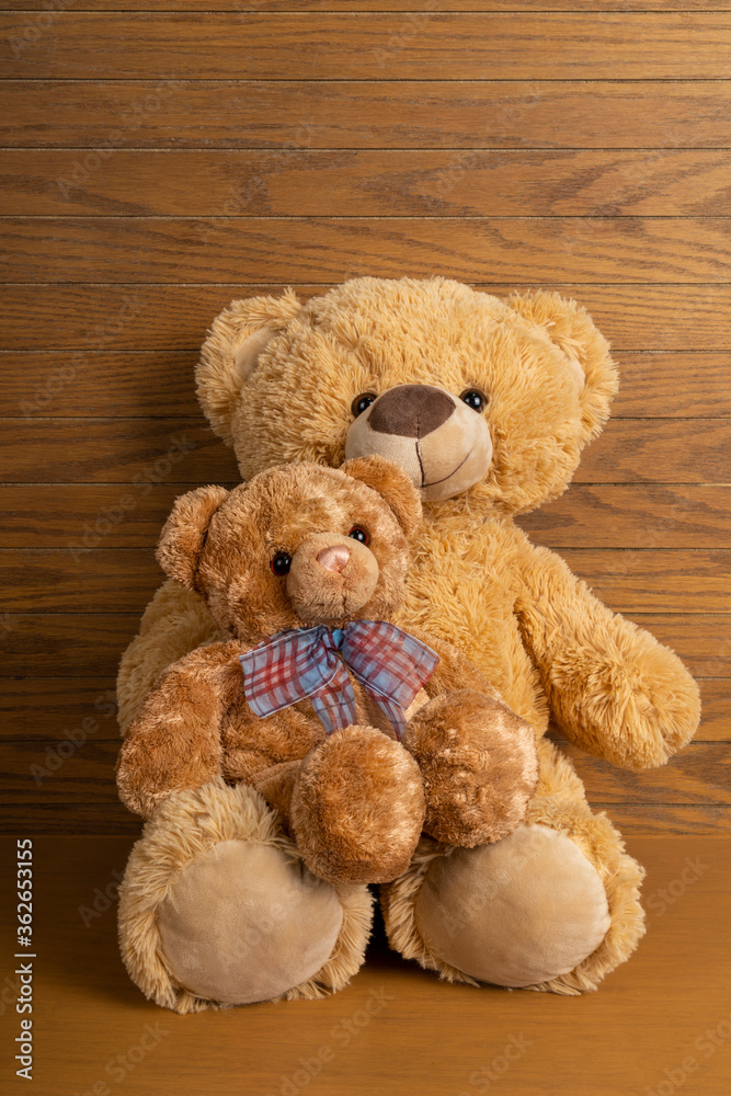 Teddy bear with little bear indoors.