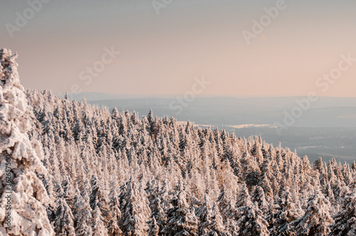Beautiful, colorful sunset light on the mountain top with frozen landscape and tress. Mountain landscape overlook of a viewpoint. Hiking and walking in snow nature. Torfhaus, Braunlage, Brocken, Harz