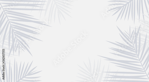 Vector shadow from tropical palm leaves on the white floor. Workplace and relaxation on the beach photo