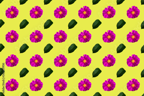 Dogrose and leaf seamless pattern isolated on yellow background