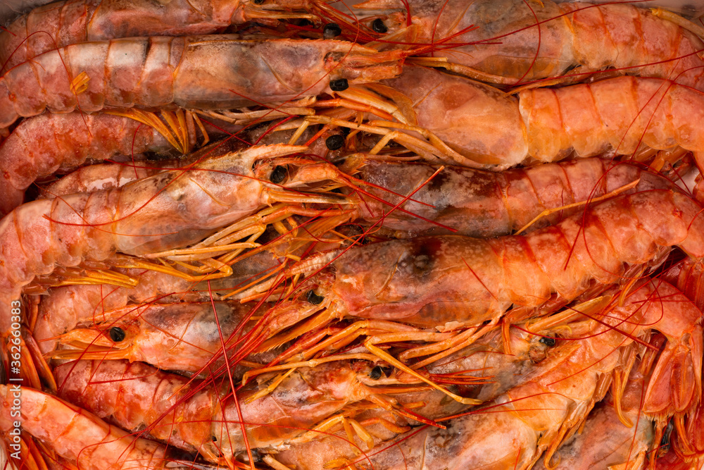 Raw shrimp langostino background Raw shrimp langostino background