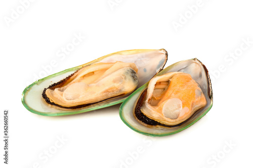 New Zealand greenshell mussels