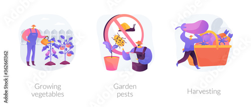 Home gardening abstract concept vector illustration set. Growing vegetables, garden pests, harvesting, planting in ground, organic food, container garden, plant insects, pesticides abstract metaphor.