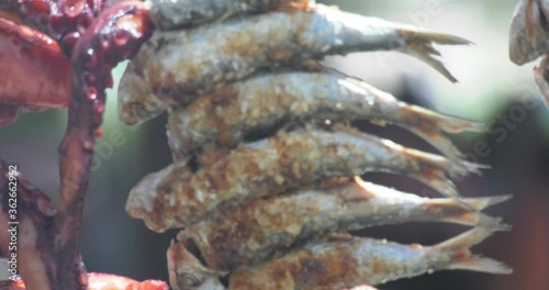 sardine on the skewer beach