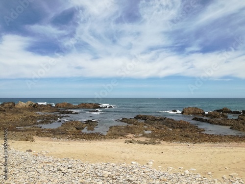 Goukamma Nature Reserve, Knysna, Sedgefield, Garden Route, South Africa  photo