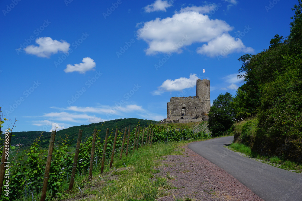 Ein Blick auf die Weinberge und die Burgruine Landshut in Bernkastel Kues in Rheinland Pfalz in Deutschland - 
A view of the vineyards and the ruined castle of Landshut in Bernkastel Kues in Rhineland