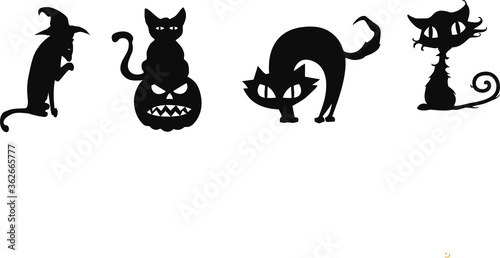 Halloween cats on white background. Vector illustration, © Teymen