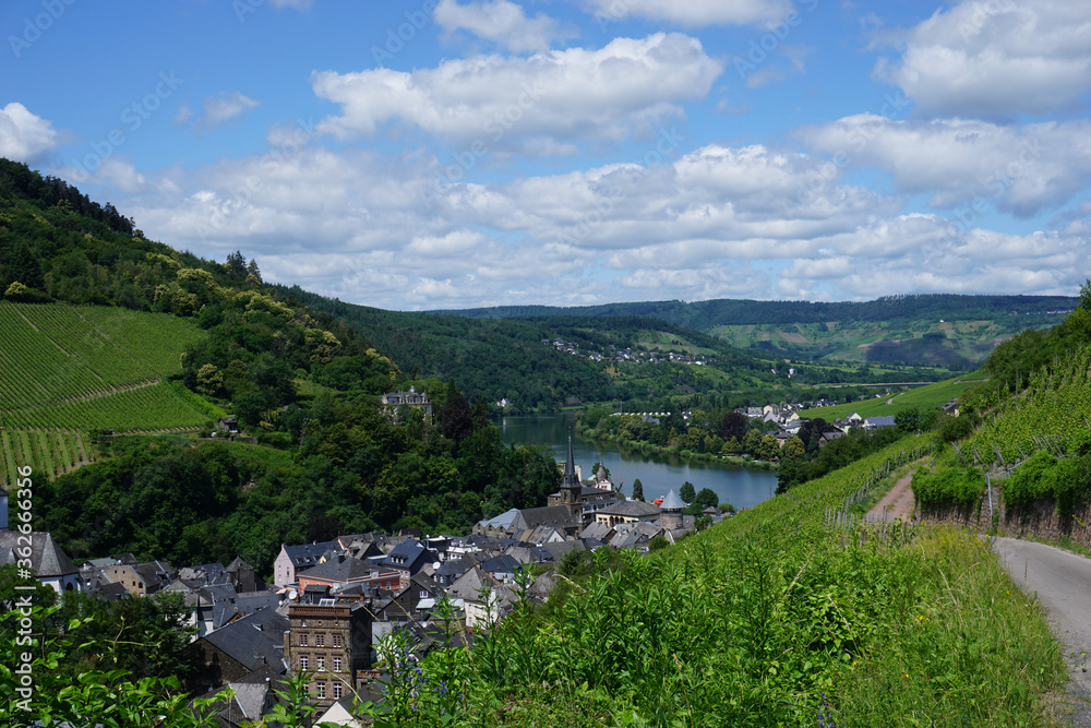 Aussicht von den Weinbergen auf einen Teil der Stadt Traben Trarbach und die Mosel -View from the vineyards to part of the city of Traben Trarbach and the Moselle