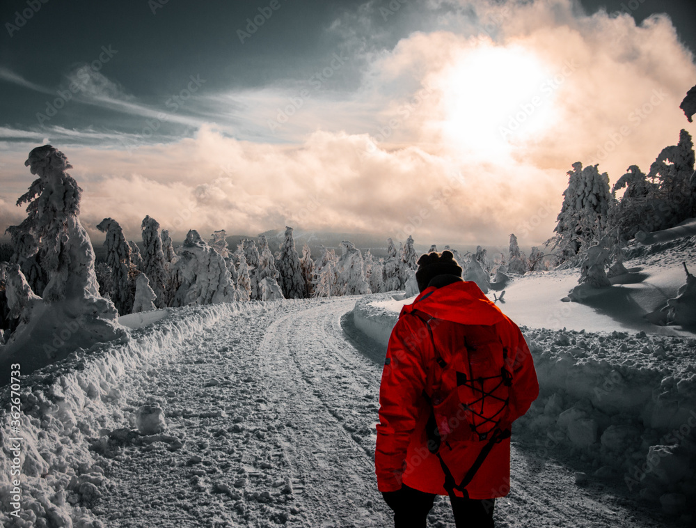 Adventure mountain hiker with red jacket on the mountain landscape with frozen and snow nature. Outdoor person exploring. Harz Mountains, Harz National Park in Germany.