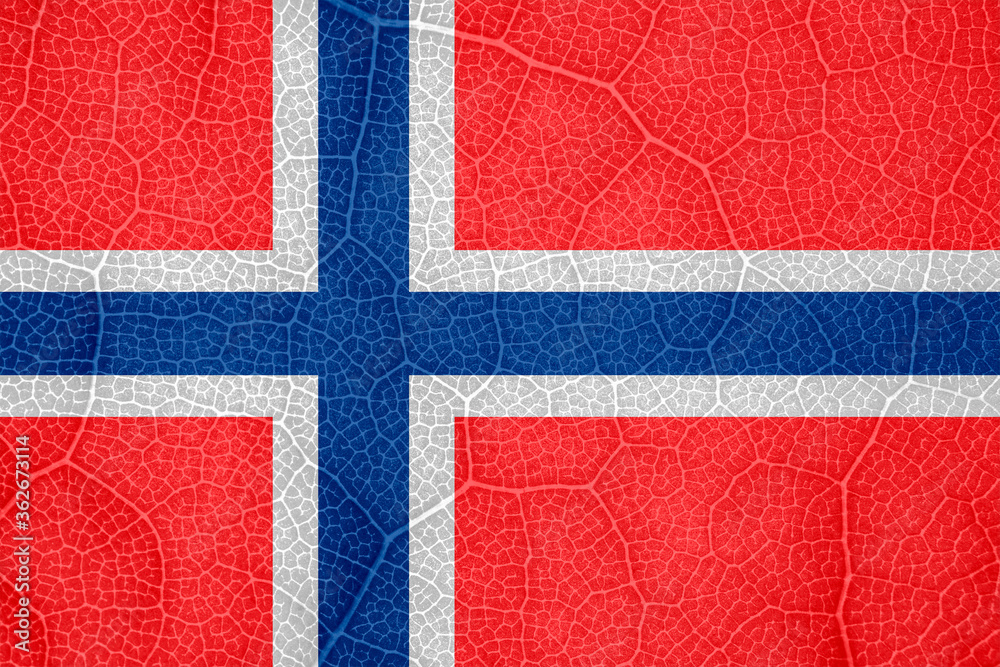 Fototapeta premium flag of Norway on the structure of a tree leaf macro