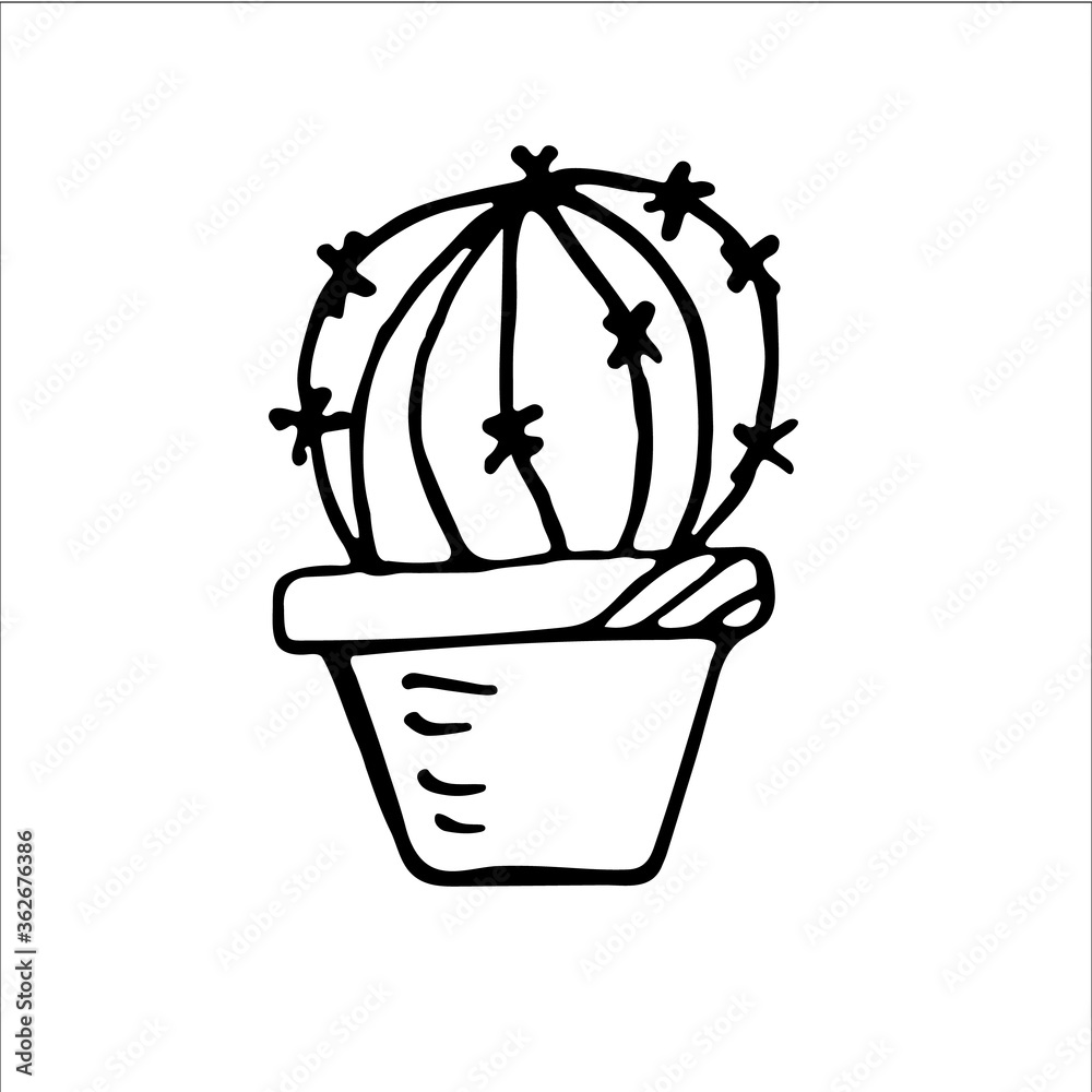 Hand drawn flat vector botanical plant line illustrations isolated on a white background. 
Cute hand drawn cactus. Traditional leaves in ink, doodle style 