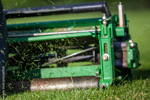 Reel Mower Cutting the Grass