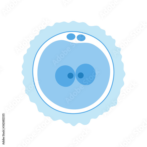 Reproductive system concept