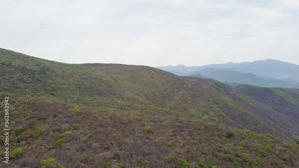 Fototapeta premium el alcomun