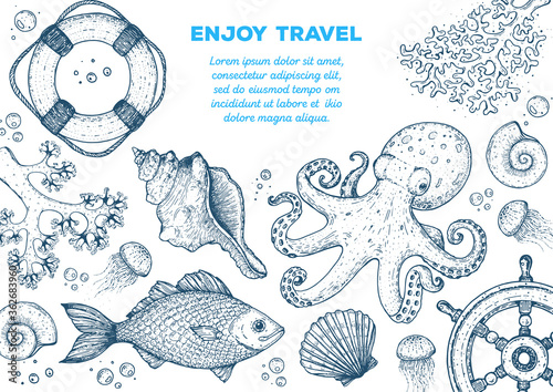 Sea animals hand drawn collection. Sketch illustration. Octopus, jellyfish, fish, seaweed, seashells, coral illustration. Vintage design template. Undersea world.