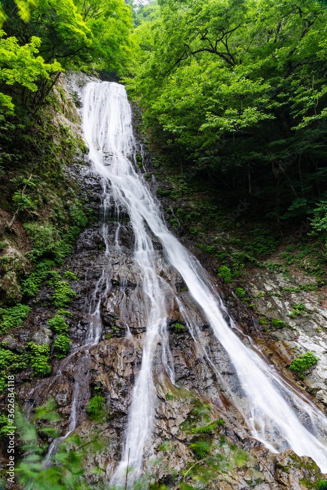 この写真は埼玉県秩父にある丸神の滝の写真です。 この写真は埼玉県秩父にある丸神の滝の写真です。