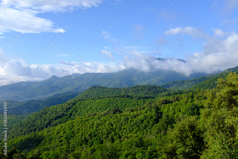 Green mountain forest peak scenic view on a blue sky with morning clouds on Montseny mountain peak, Catalonia