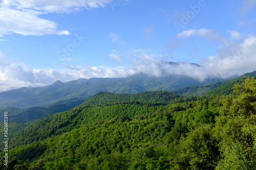 Green mountain forest peak scenic view on a blue sky with morning clouds on Montseny mountain peak  Catalonia