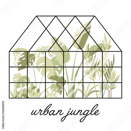 Glass greenhouse with tropical plants. Botanical home garden. House plants and flowers in pots. Gardening elements. Winter garden. Crazy plant lady hand drawn print for postcard, poster, banner.