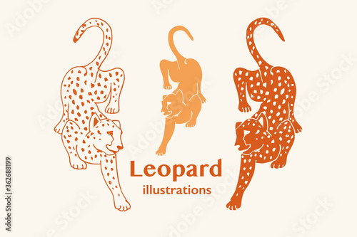 Hand drawn Vector Illustration of a Leopard