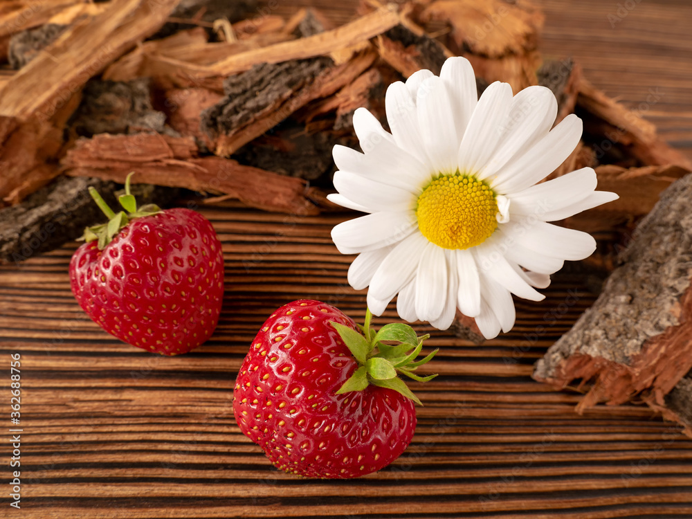 Strawberry berries and chamomile flower on a wooden background with tree bark