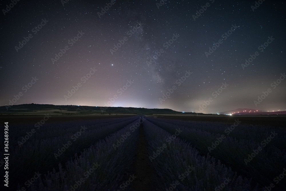 Milky Way and stars on beautiful lavender field in Basilicata