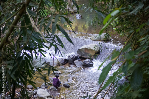 a small waterfall in a river. many stones in the river  leaves from bamboo trees as foreground.