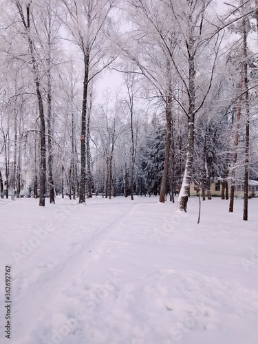 snow covered road © Ксения Бомбина