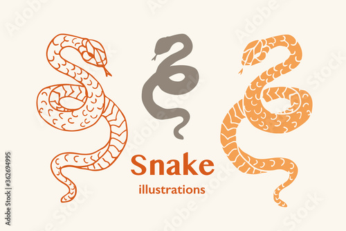 Vector Illustrations of Snakes