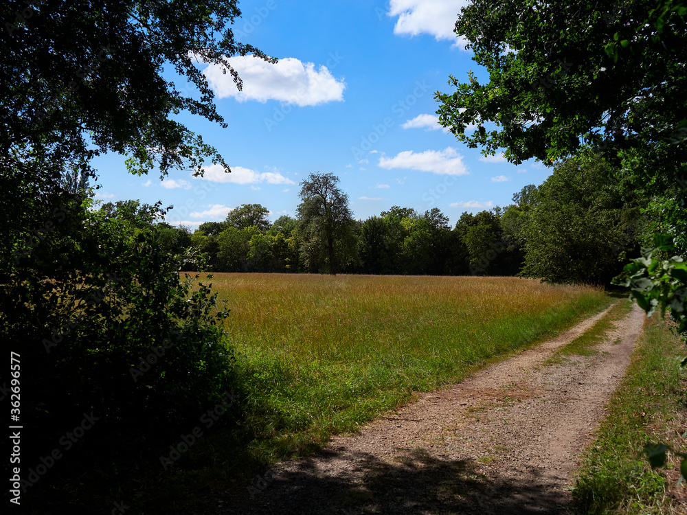 road in the field