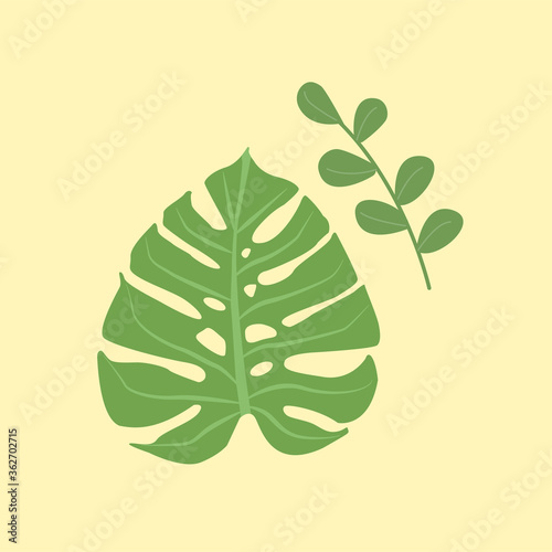 Green Monstera leaf and twigs with leaves on a yellow background for wallpaper for the home, paintings, textures, background, advertising, decor, poster. Vector illustration of green leaves.