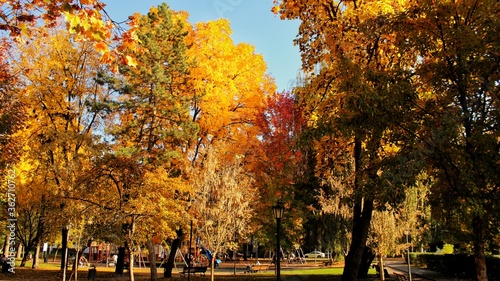 autumn in the park © Liviu