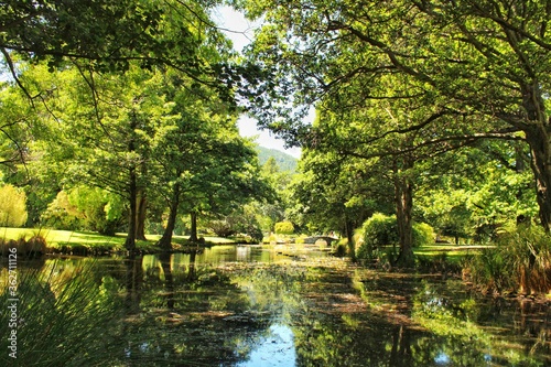 Fototapeta Naklejka Na Ścianę i Meble -  pond in the park
